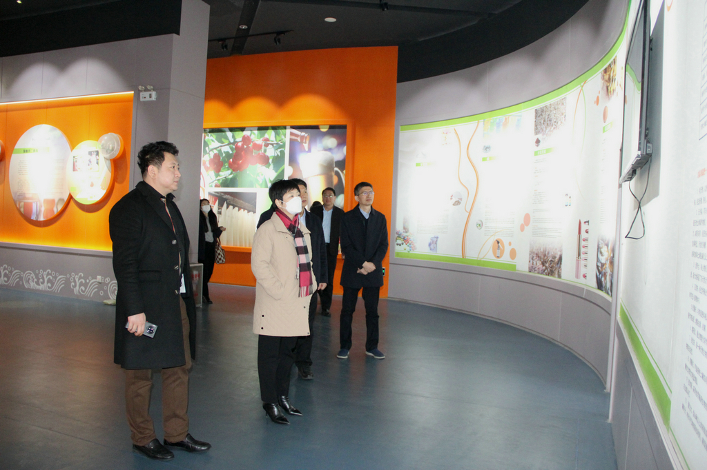 日照市副市长张金梅来88858cc永利集团调研